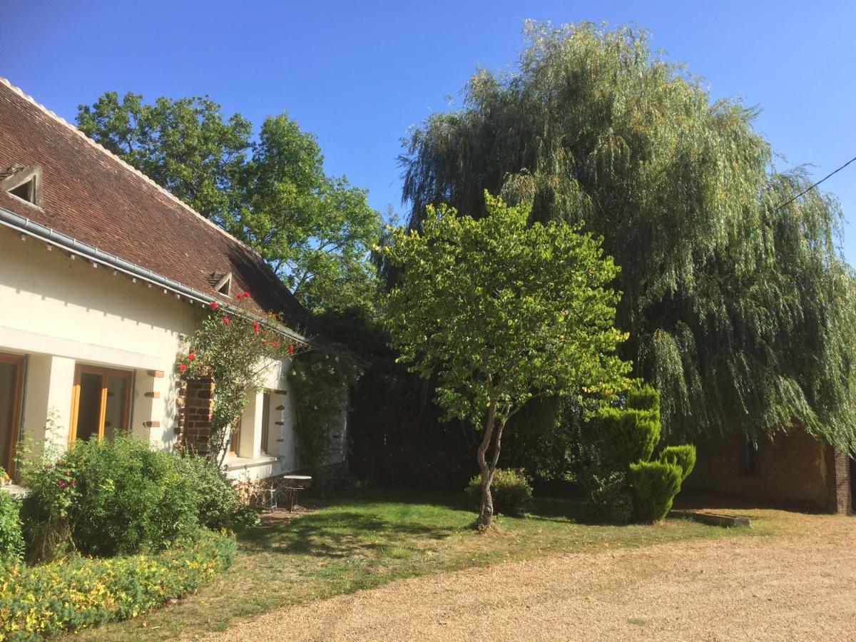 Le Mesnil Dance (Orne) Exterior foto